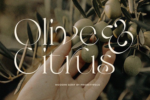 Olive & Citrus modern elegant serif typeface layout from Creative Fabrica for minimalist KDP beauty journals.