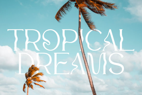 Sunkissed Tropics elegant wavy serif font for lifestyle branding and tropical design layouts.